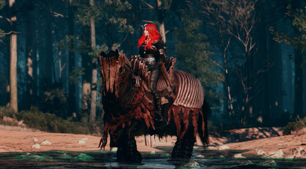 The-Witcher-3-Super-Resolution-2019-05-16-09-51-53-55.jpg.jpeg
