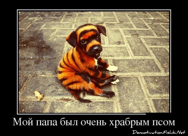 tigr-02.jpg.jpeg