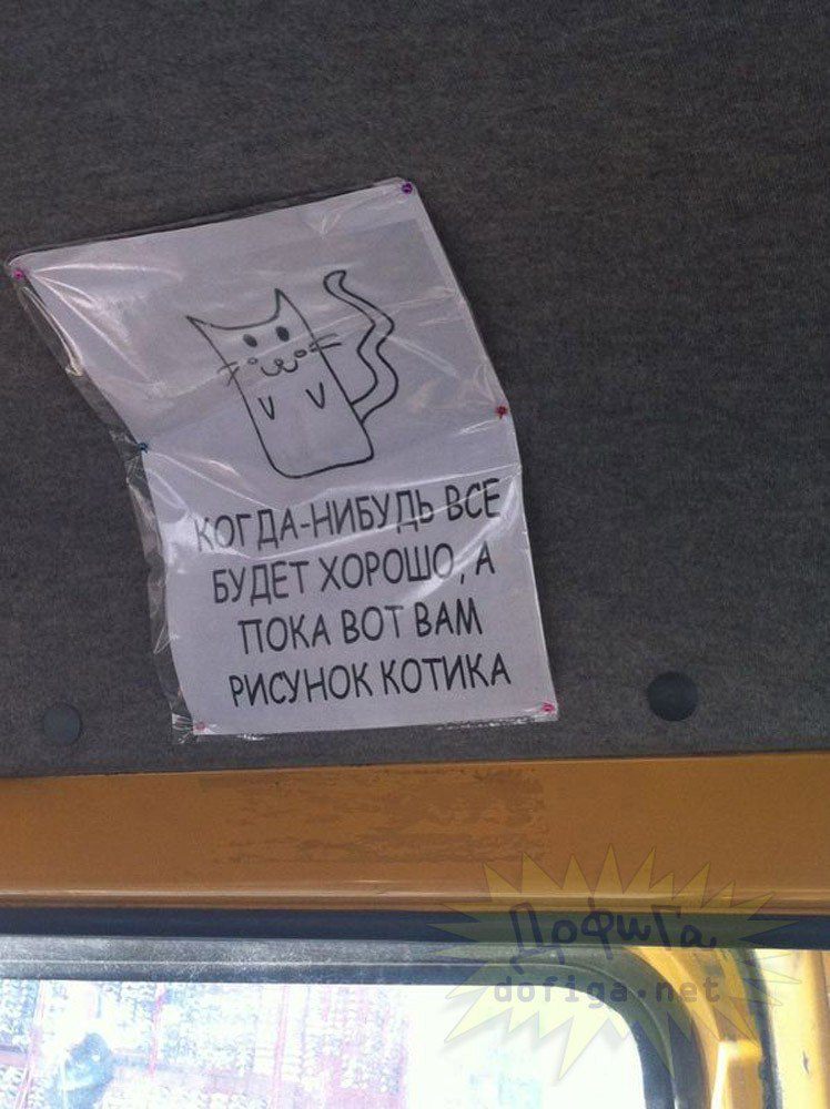 tnijSKd4GXI.jpg.6e5c2d4dc50899918ceaee3787eb0849.jpg.jpeg