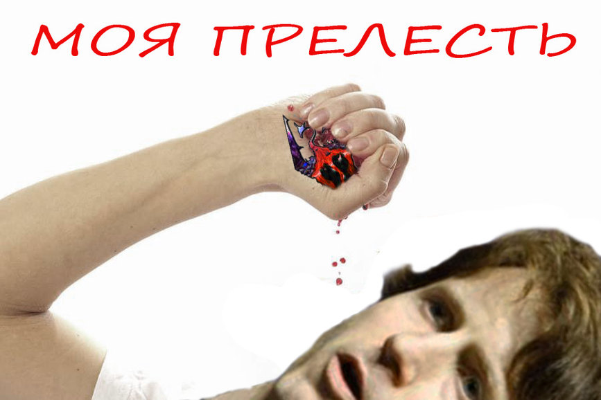 Todd1.jpg.jpeg