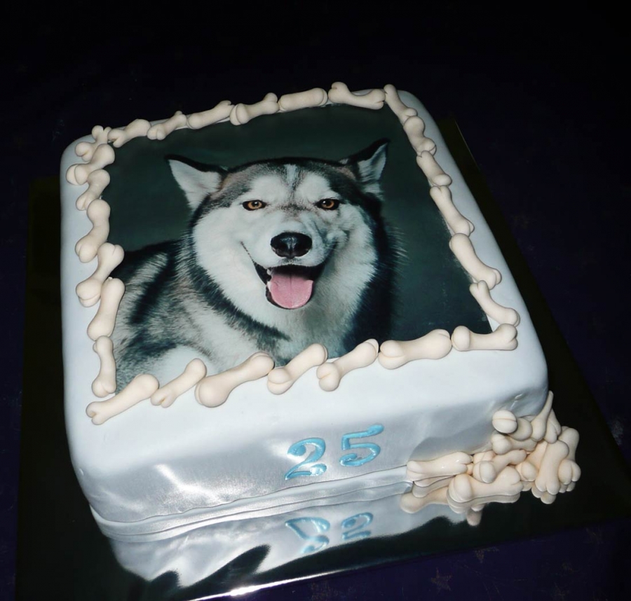 torta_pes_husky.jpg.jpeg