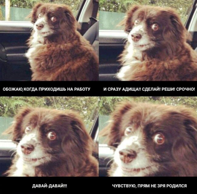 trind.jpg.jpeg
