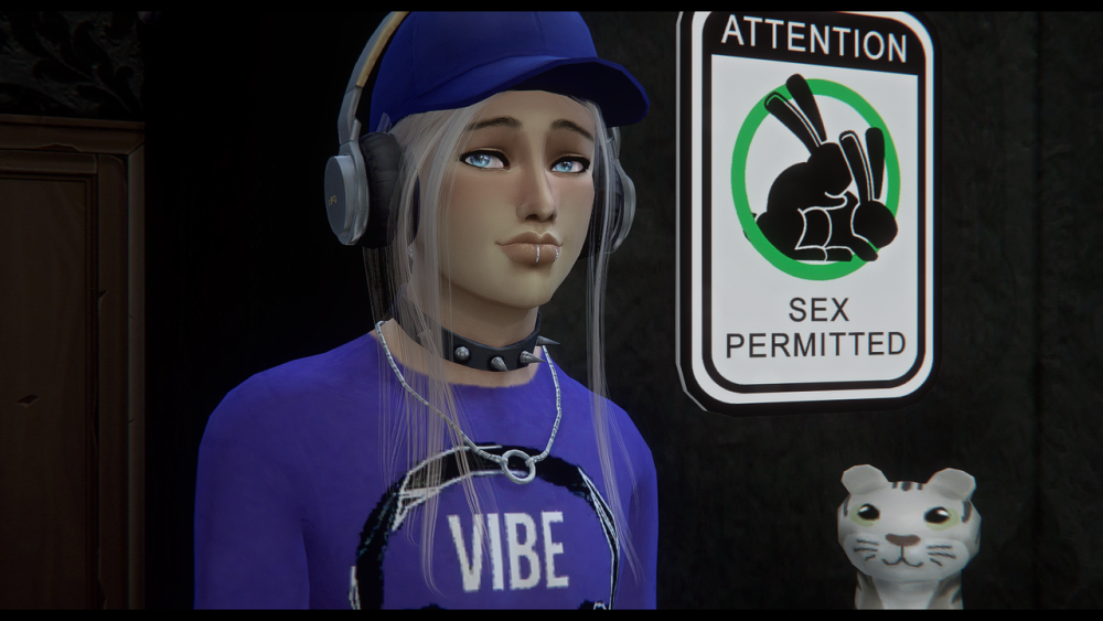 TS4-x64-2020-01-14-22-29-33.png.png