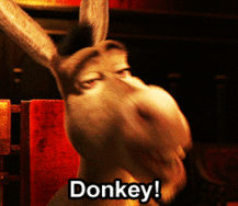 tumblr_lxyq7vopkP1qgfyeb540.gif