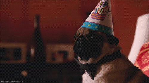 tumblr_mhpk2fAq6t1s2bpvzo1_500.gif