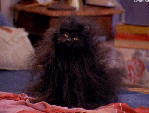 tumblr_mu6lmyhqOx1s4m00qo1_500.gif