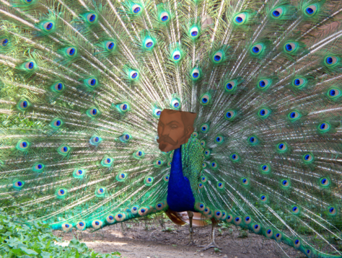 tumblr_n5peo9sHZ51qghomuo1_500.png.webp.png