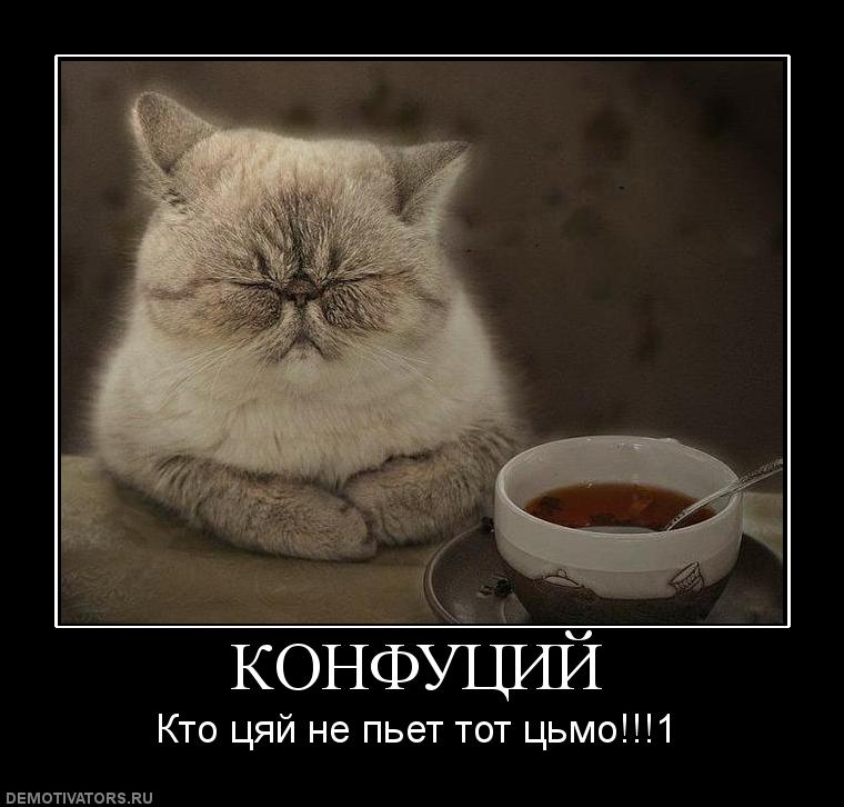 u_8ae39983c17945e4d999e43b2da9908a_800.jpg.jpeg