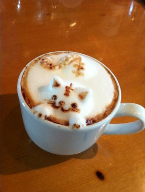 un-gattino-spunta-dalla-tazza-di-caff%C3%A8-500x663.jpg.jpeg