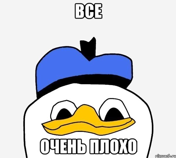 utka_11546674_orig_.jpg.jpeg