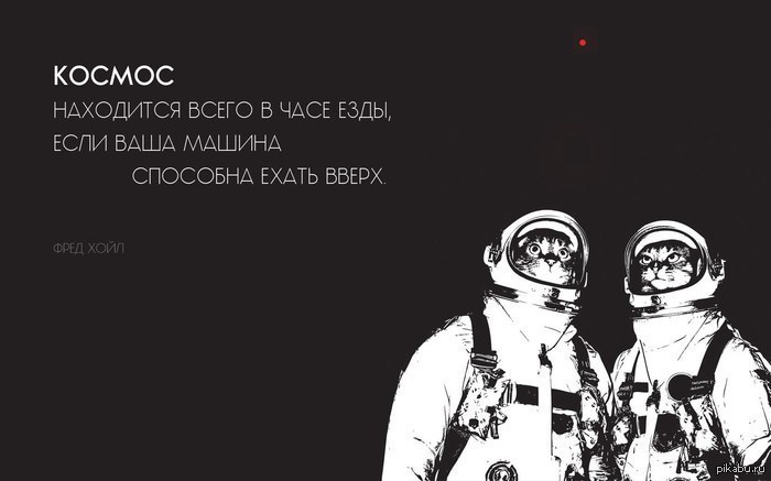 vhDVmJyr2hI.jpg.jpeg