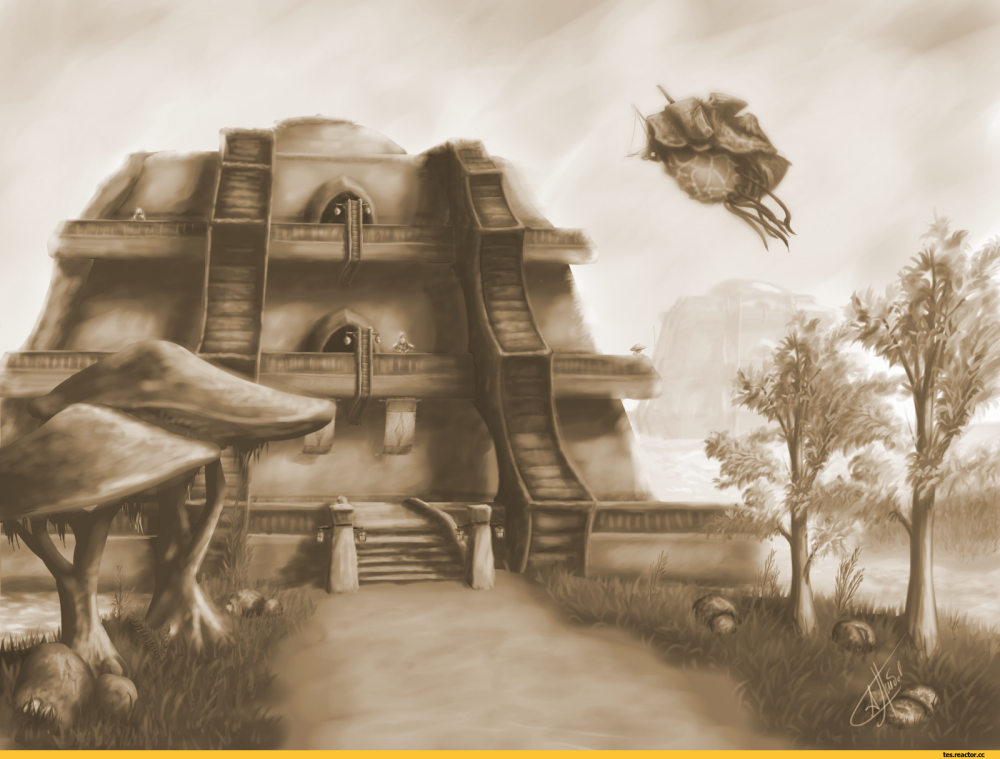 %D0%92%D0%B8%D0%B2%D0%B5%D0%BA-Morrowind-The-Elder-Scrolls-%D1%84%D1%8D%D0%BD%D0%B4%D0%BE%D0%BC%D1%8B-1100604.png.png