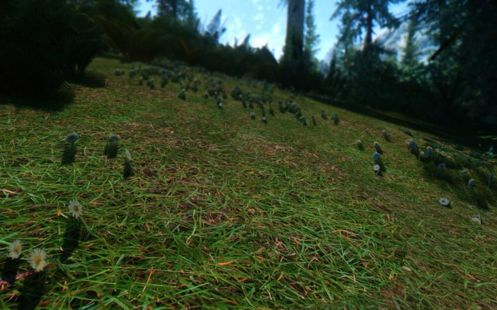 vRfIz7qyOag.jpg.jpeg