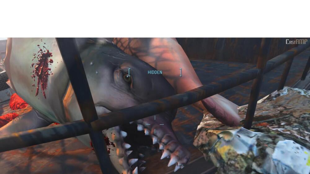 w3eYPcR.jpg.jpeg