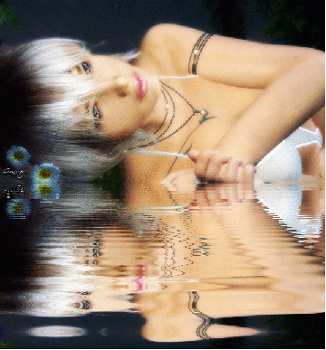 W8iml.gif