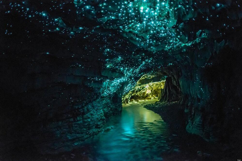waitomo-glowworm-caves-1.jpg.jpeg