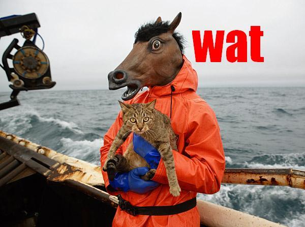 Wat.jpg.jpeg