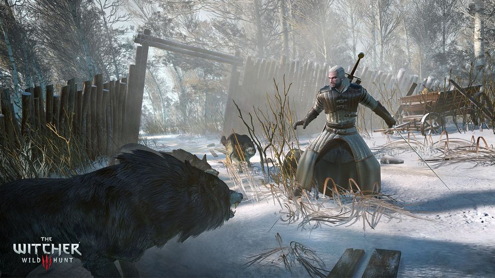witcher_1_big.jpg.jpeg