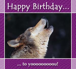 wolfbirthday.jpg.jpeg