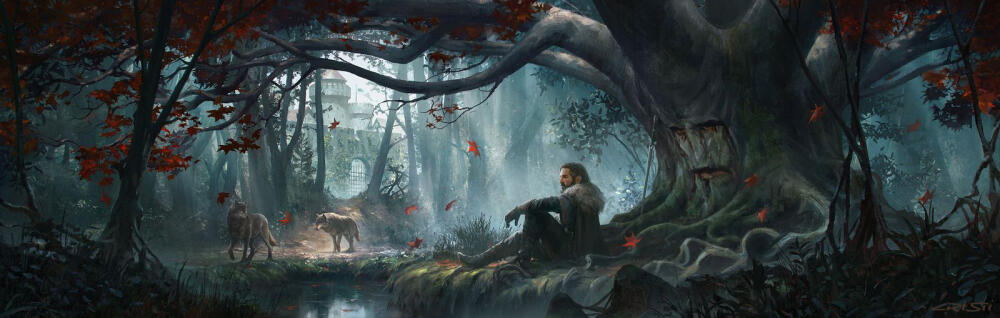wolves_of_the_north_cover_by_cristi_b-d9ose0f.jpg.jpeg