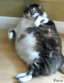 www1.gifci.ru (3).gif