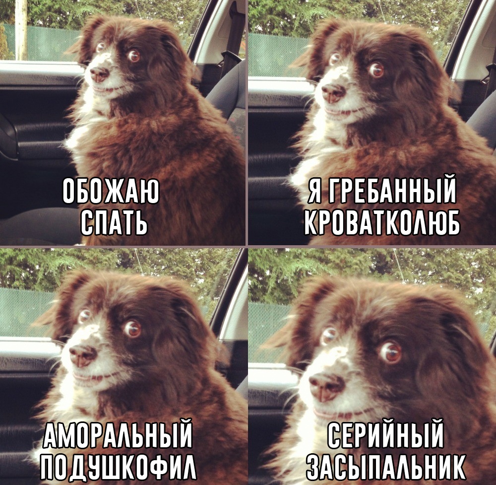 YAjvVixxGzE.jpg.jpeg