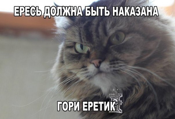 yRSLAZTrfwI.jpg.jpeg