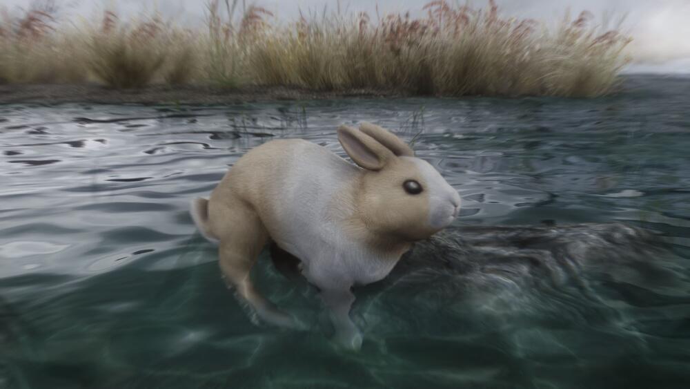 Z1dj4un.jpg.jpeg