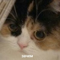 zachem_100335054_orig_.jpg.jpeg