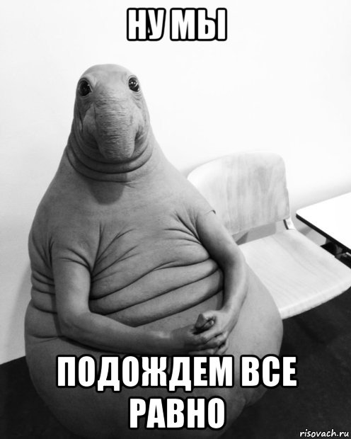 zhdun_137119899_orig_.jpg.jpeg