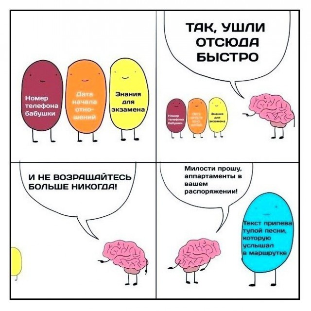 11609766.jpg.jpeg