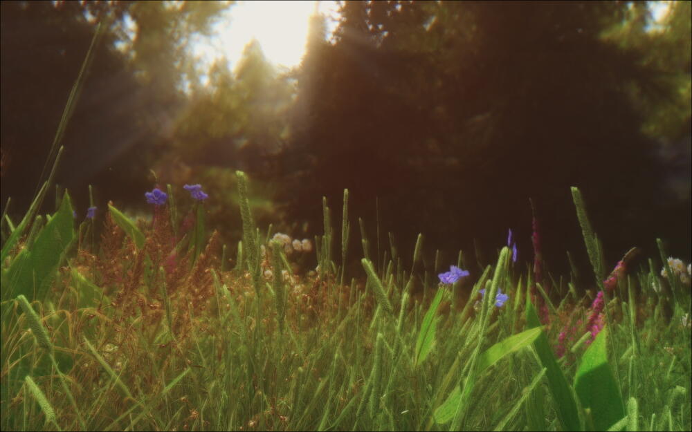 129f63cbe813.jpg.jpeg