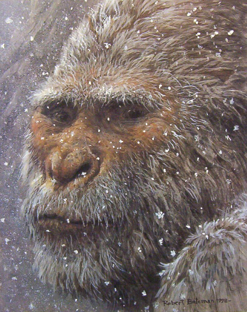 1310901950_yeti-1998_www.nevsepic.com.ua.jpg.jpeg