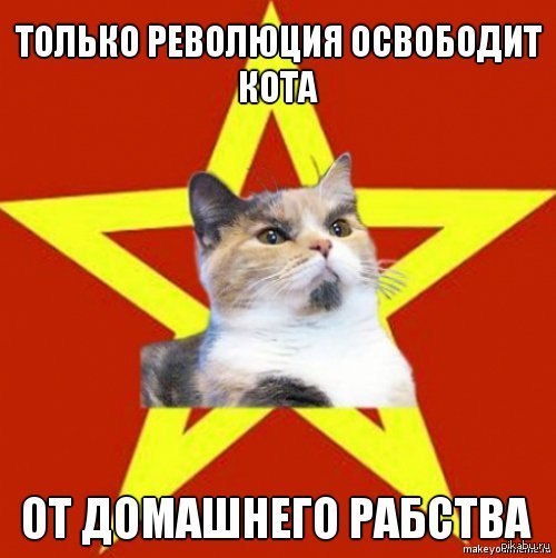 1371319676_63620988.jpg.jpeg