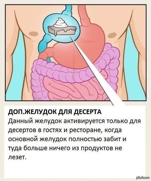 1382465370_857382459.jpg.jpeg