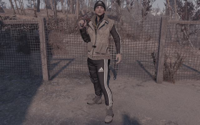 13900796_m.png.webp.png