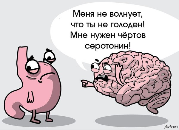 1415262062_405000637.jpg.jpeg