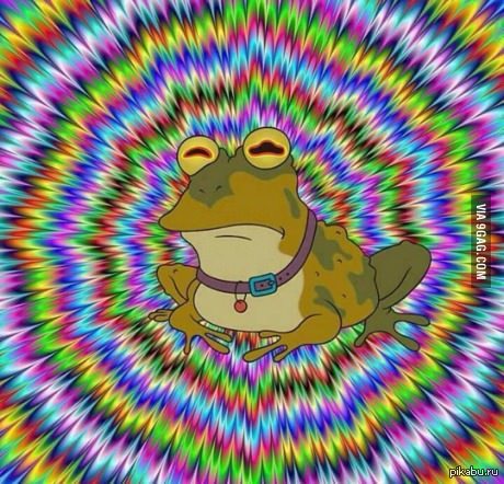 1425679234_64224130.jpg.jpeg