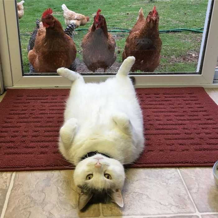 1547882291_8.jpg.jpeg