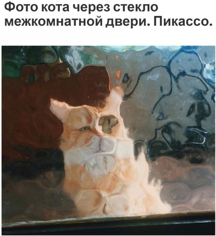 1552568661-4.jpg.jpeg