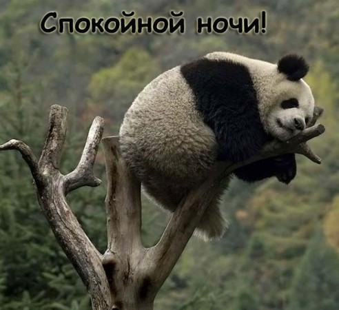 220874-492x450.jpg.jpeg