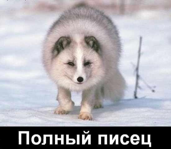 29oRyr-mMos.jpg.jpeg