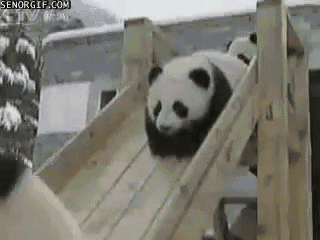 38869_1857.gif
