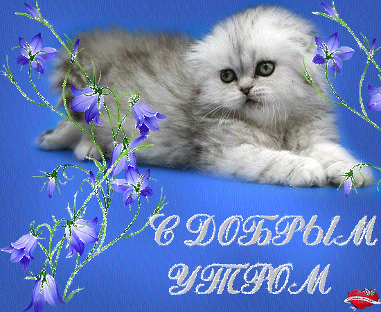 599243705.gif
