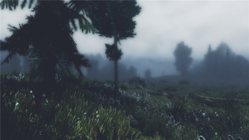 5b281df35def.jpg.jpeg