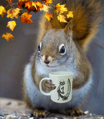 5f474fed-3f14-f656-1acb-008452eee7c2.gif