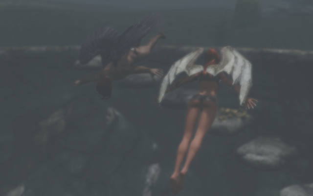 6609192_m.png.webp.png