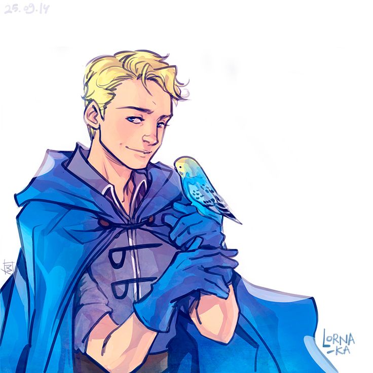 6a40a58d7d392e77686dbd654598c839--boy-blue-cactus.jpg.jpeg