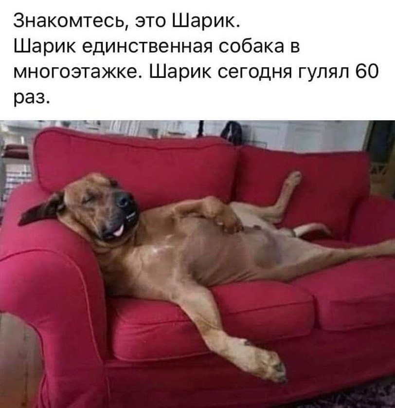 6NbRUwG-zPs.jpg.jpeg