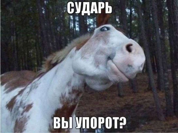 7Ab9tAE6IOI.jpg.jpeg